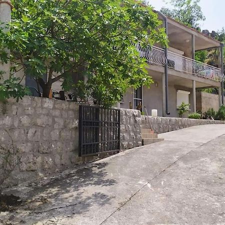 Nature Bay Apartment Kotor Bagian luar foto